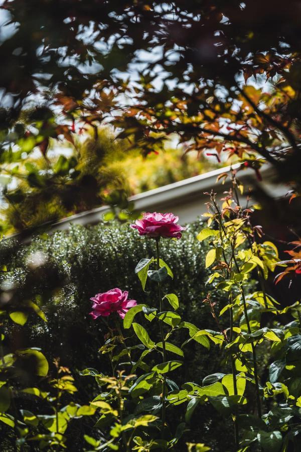 Daylesford Spa Accommodation Luaran gambar